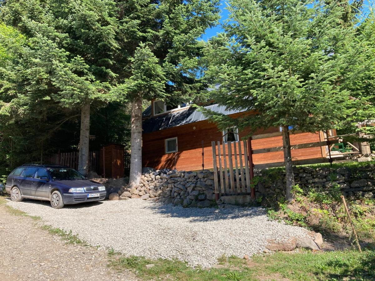 Ven Fenyo Kunyho Villa Ciceu Exterior photo