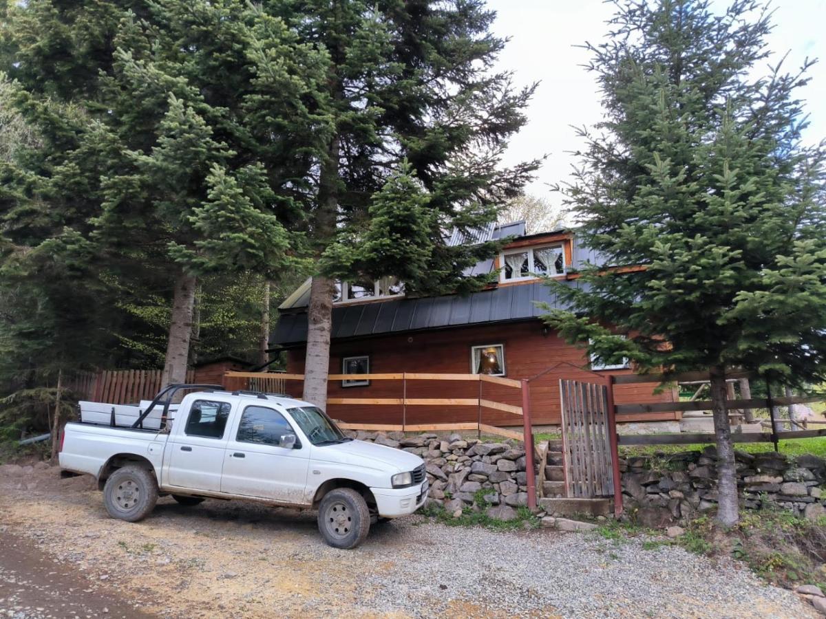 Ven Fenyo Kunyho Villa Ciceu Exterior photo